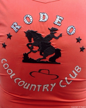 Logo du club sur chemise rouge