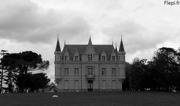 Chateau bord de Loire