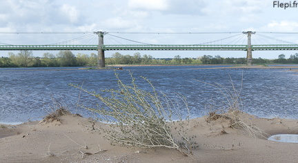 Pont d'Ingrandes sur Loire vu de la plage