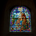 Vitrail - église abbatiale de Saint-Florent-le-Vieil