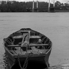 Barque à Montjean sur Loire (2 )