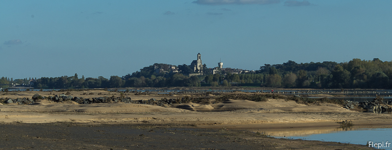Montjean sur Loire vu d'Ingrandes